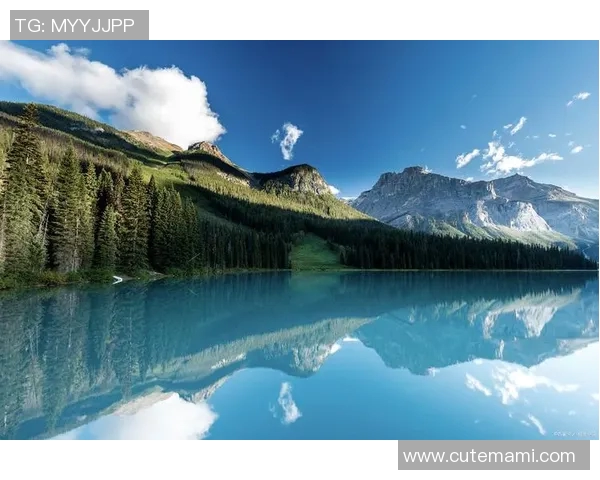 仙台七夕与太阳的奇妙交融探秘传统文化与自然之美的完美结合