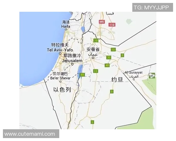 伊拉克与巴勒斯坦足球历史交锋记录及战绩分析