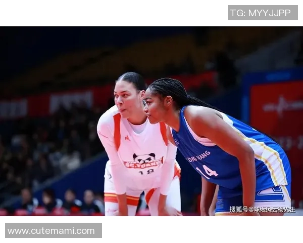 全运会女排激战辽宁对阵浙江巅峰对决精彩纷呈引发热烈关注