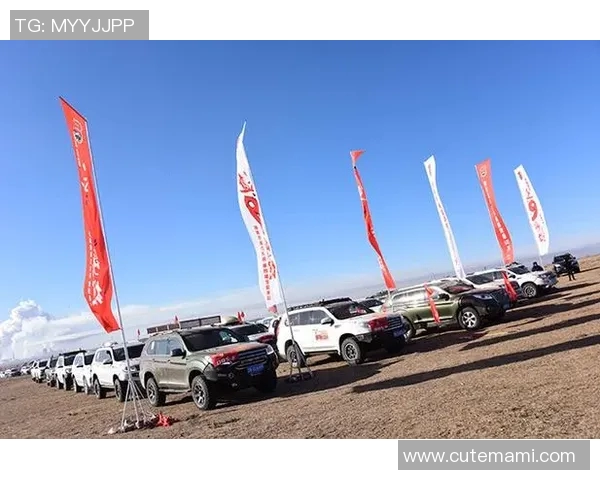 布尔格对阵特鲁瓦精彩直播全程回顾与赛后分析