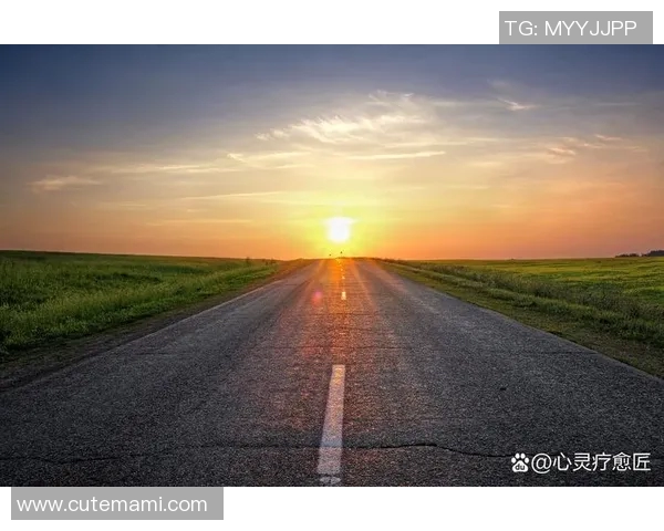 景菡一的成长之路与心灵探索：在追寻梦想的旅程中绽放自我