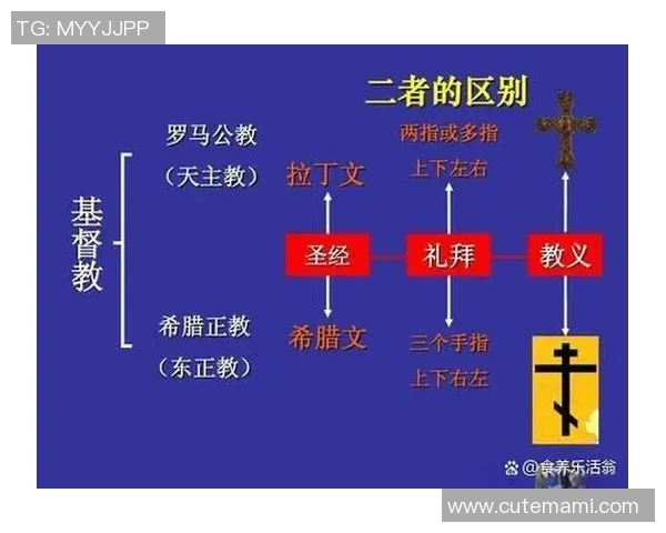 罗马与卡拉巴克对决分析战术布局与球员表现的深度剖析 罗马与卡拉巴克对决分析战术布局与球员表现的深度剖析