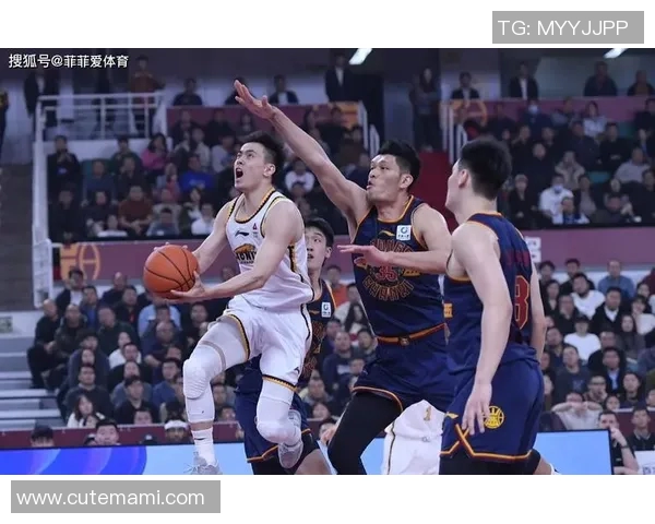 辽宁对阵山西精彩直播视频全程回放与赛后分析尽在这里